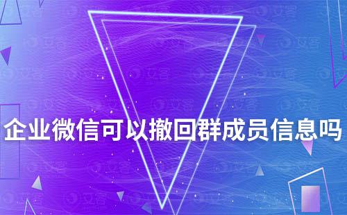 企业微信可以撤回群成员信息吗