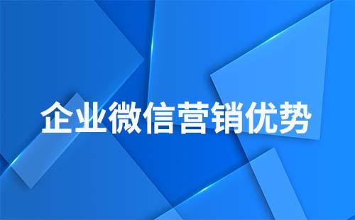 为什么说企业微信更适合做营销