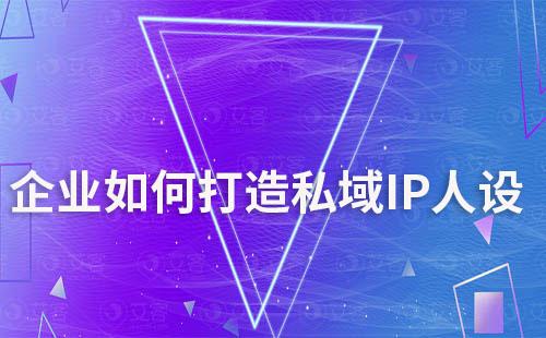 企业如何打造私域IP人设