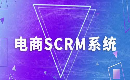 SCRM系统在电商打造私域运营中扮演着怎样的角色